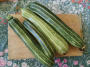 courgettes.png