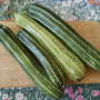 courgettes.png